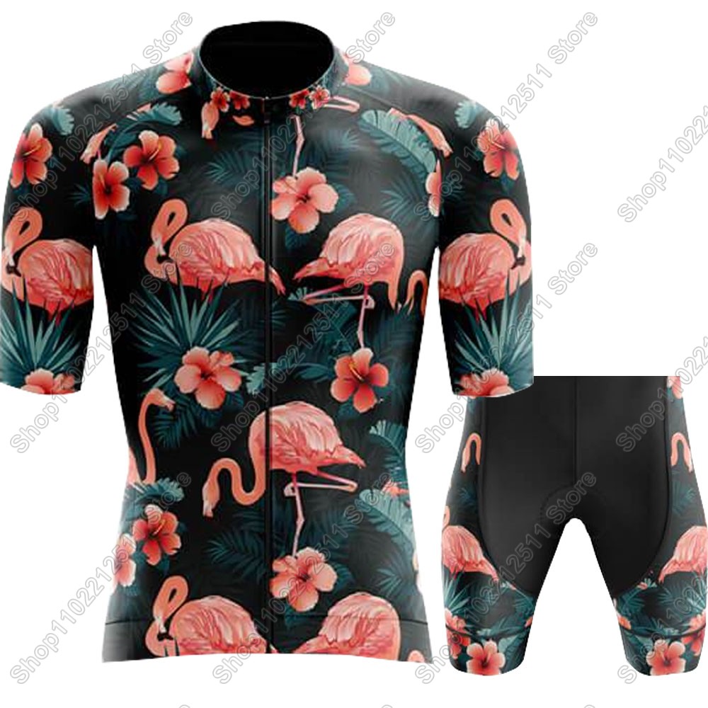 2025 Flamingo Wielertrui Set F - Cycling Bib Shorts recensie en prijs